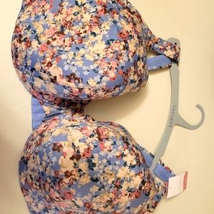 Cacique bra size 44F